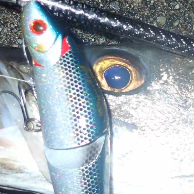 APIA Brigante 160SW 48g