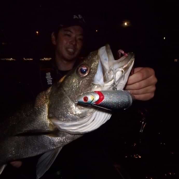 APIA Brigante 160SW 48g