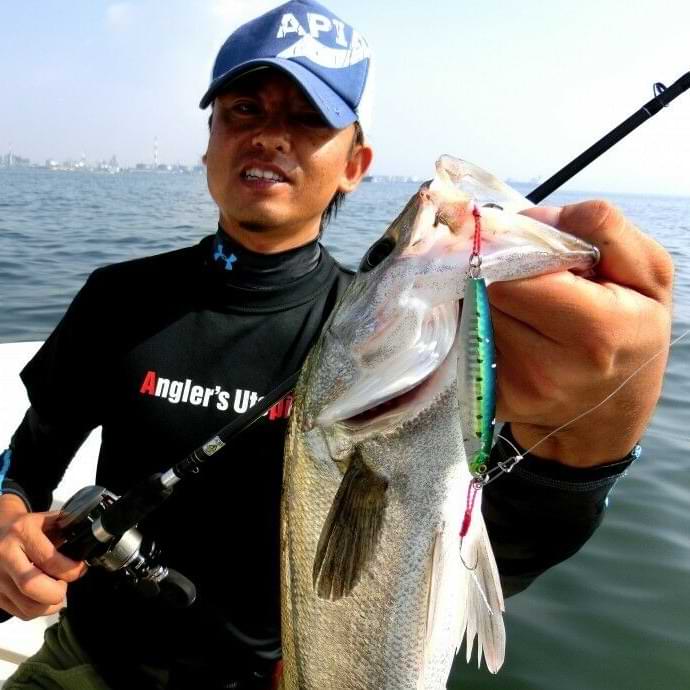 APIA Seiryu Hyper 30g