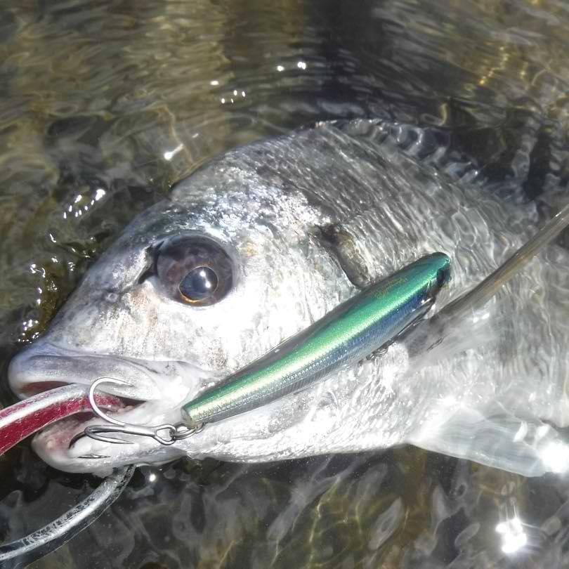 APIA Hydroupper 90S 16g