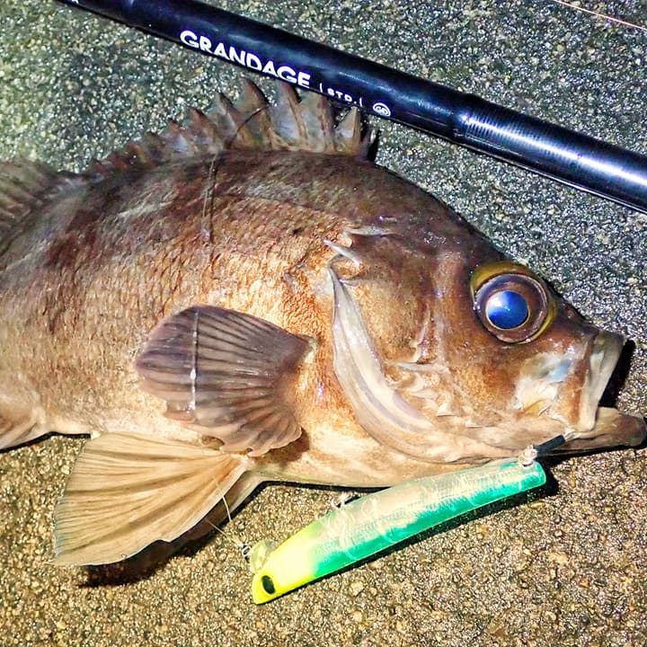 APIA Hydroupper Slim 100S 10g