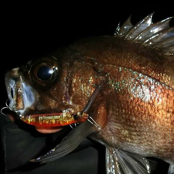 APIA Punch Line 45 3.4g