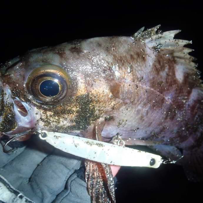 APIA Punch Line 60 5g