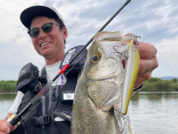 APIA Ailed'ore 115F 18g Floating