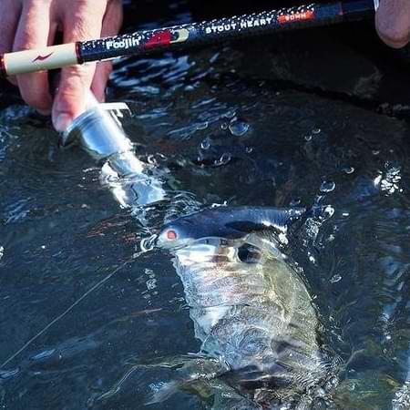 APIA Foojin AD Stout Heart 90MH