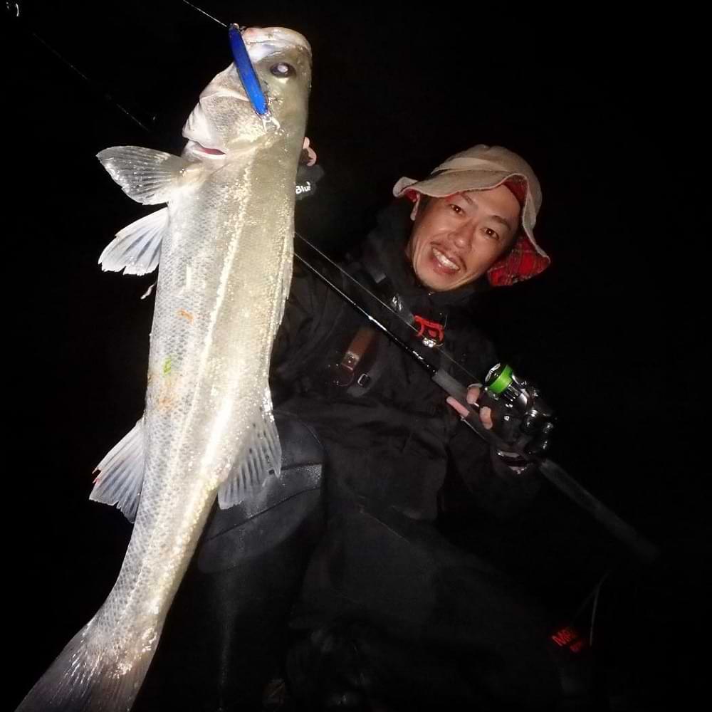 APIA Grandage STD 76M