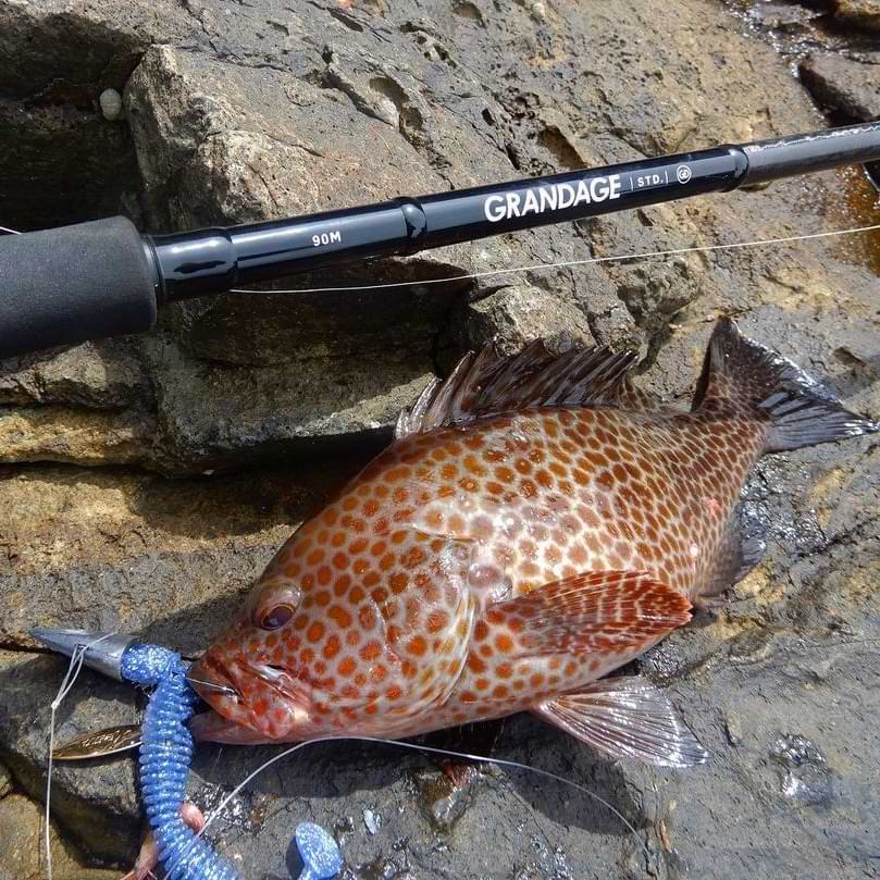 APIA Grandage STD 90M