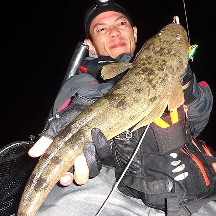 APIA Grandage STD 96MH