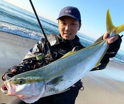 APIA Grandage XD 100M