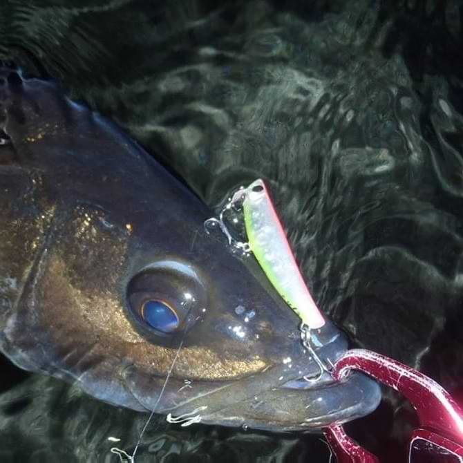 APIA Hydroupper 55S 5.5g