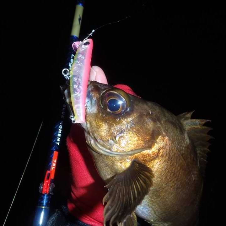 APIA Hydroupper 55S 5.5g