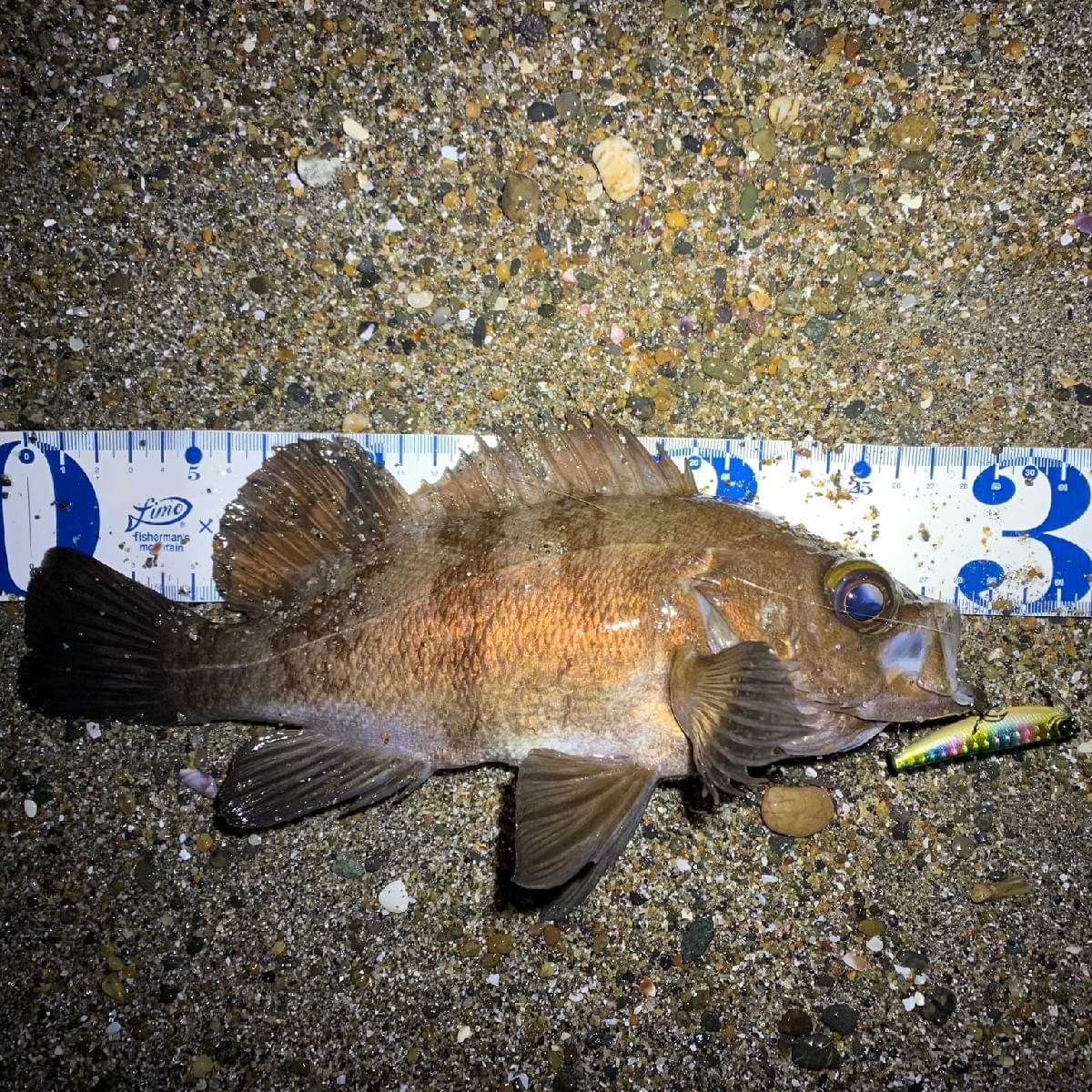 APIA Hydroupper 55S 5.5g