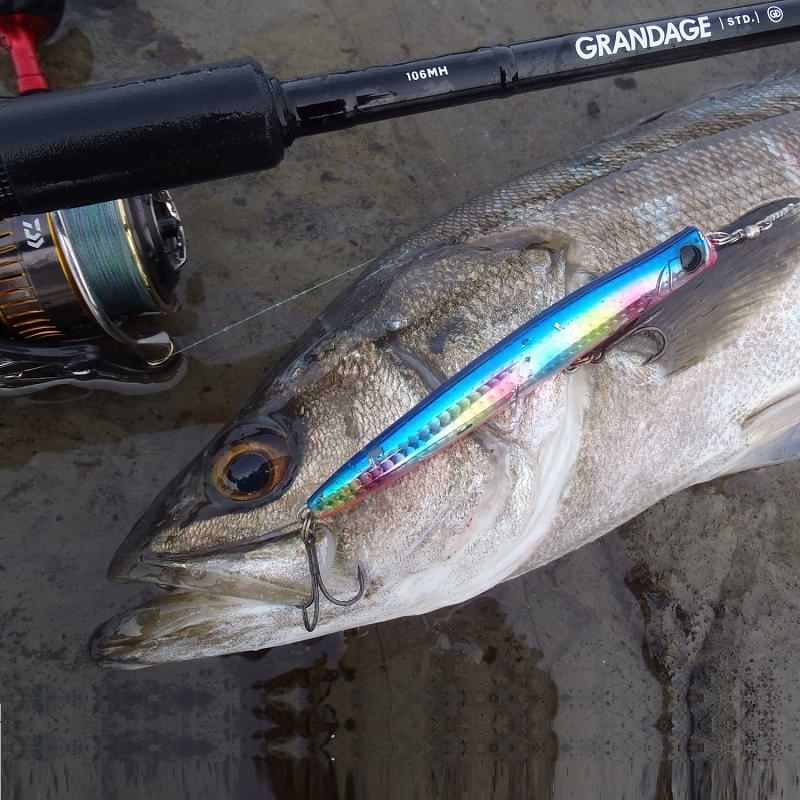 APIA Punch Line 130 36g