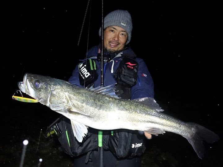 APIA Punch Line 130 36g