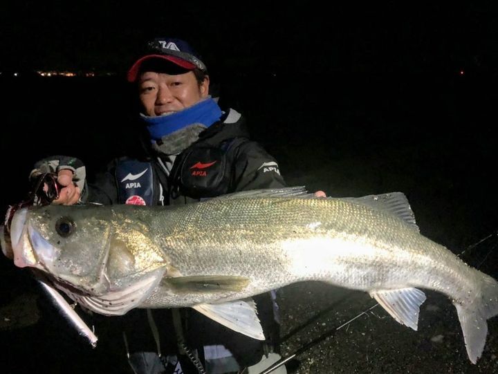 APIA Punch Line 130 36g