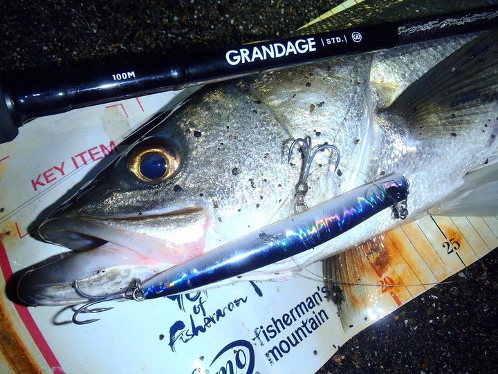 APIA Punch Line 130 36g