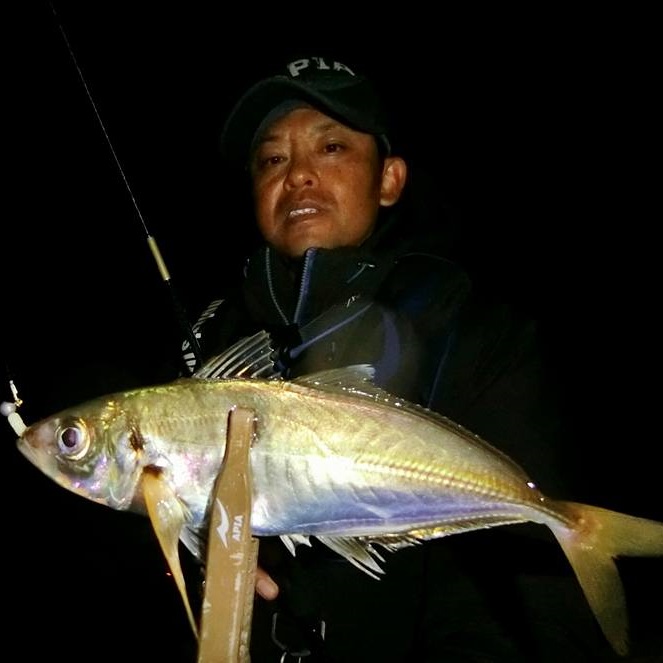 APIA Legacy SC Air Stinger II 63ULS