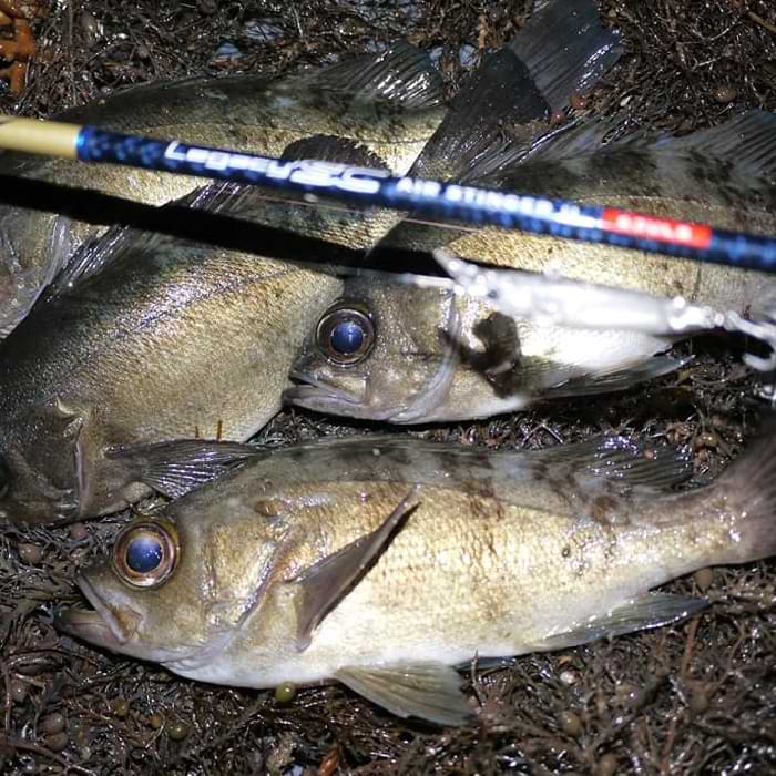 APIA Legacy SC Air Stinger II 63ULS