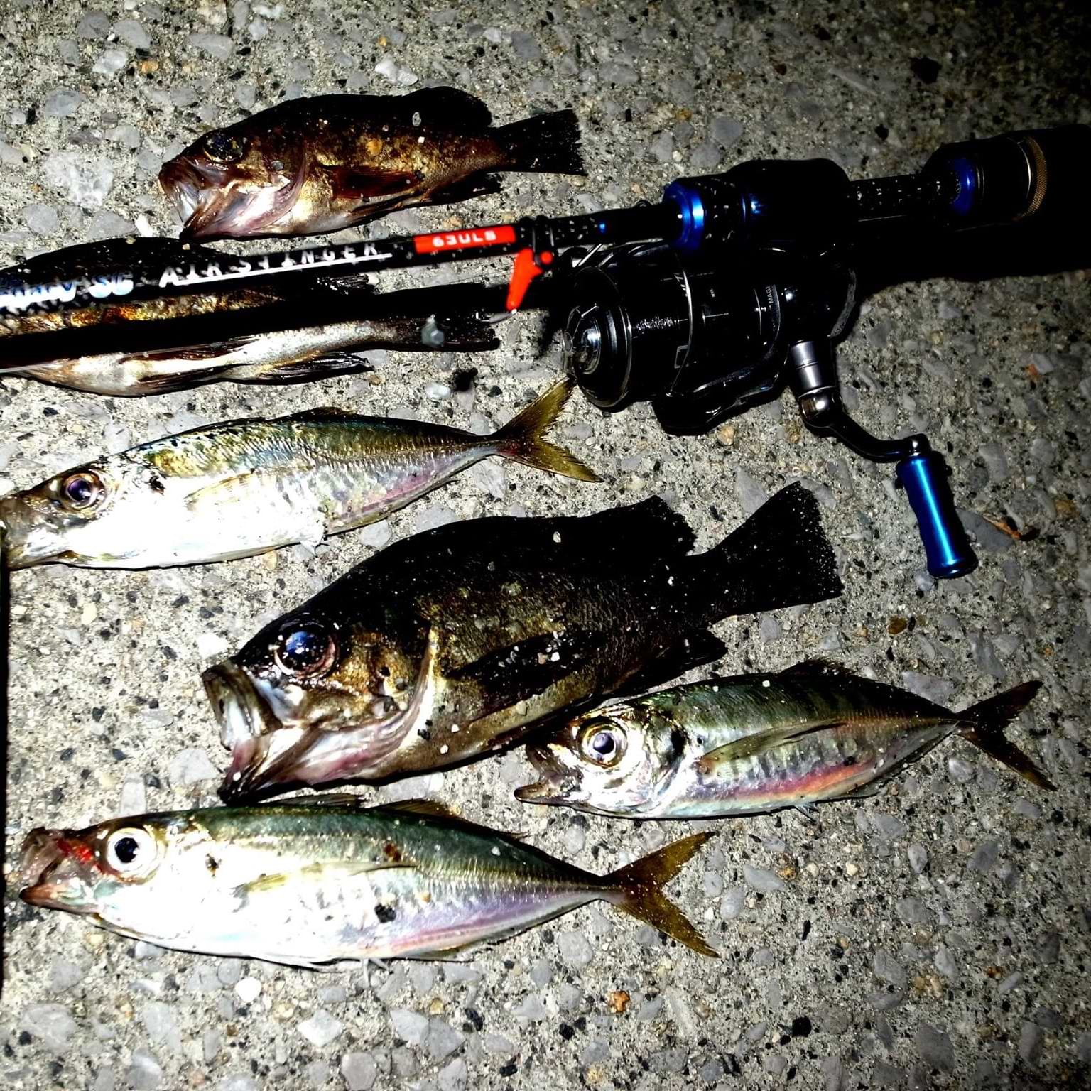 APIA Legacy SC Air Stinger II 63ULS