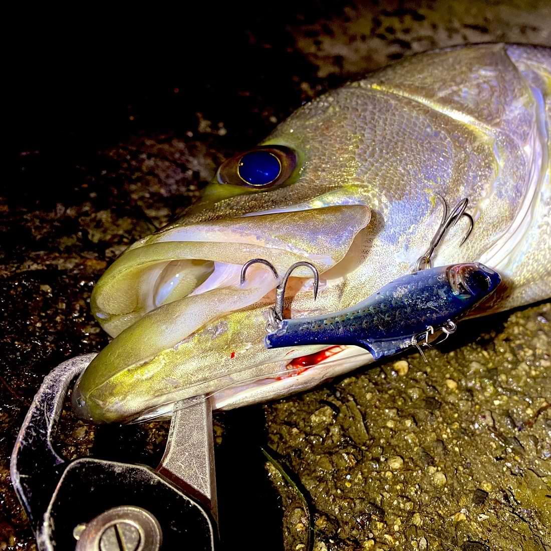 APIA Luck-V Ghost 15g