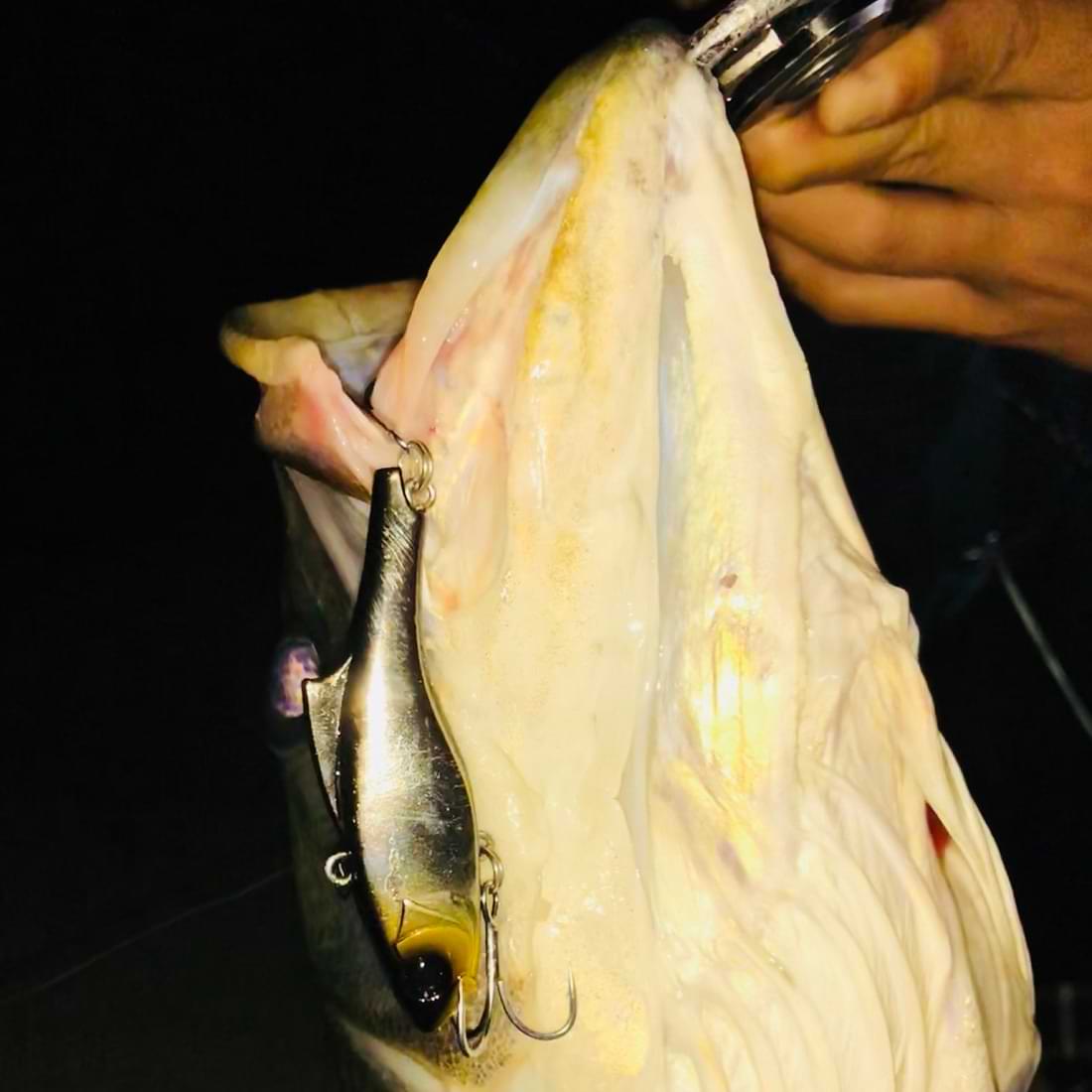 APIA Luck-V Ghost 15g