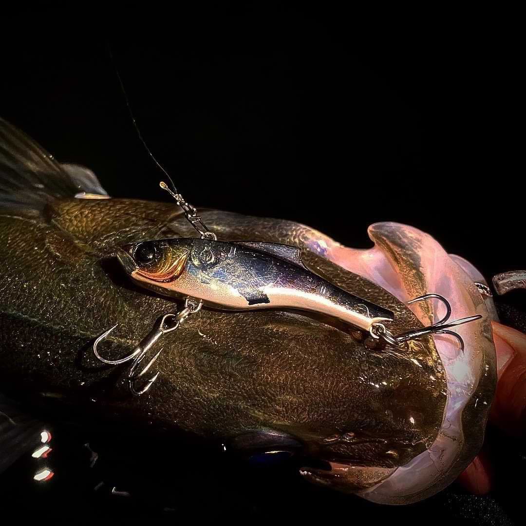 APIA Luck-V Ghost 15g