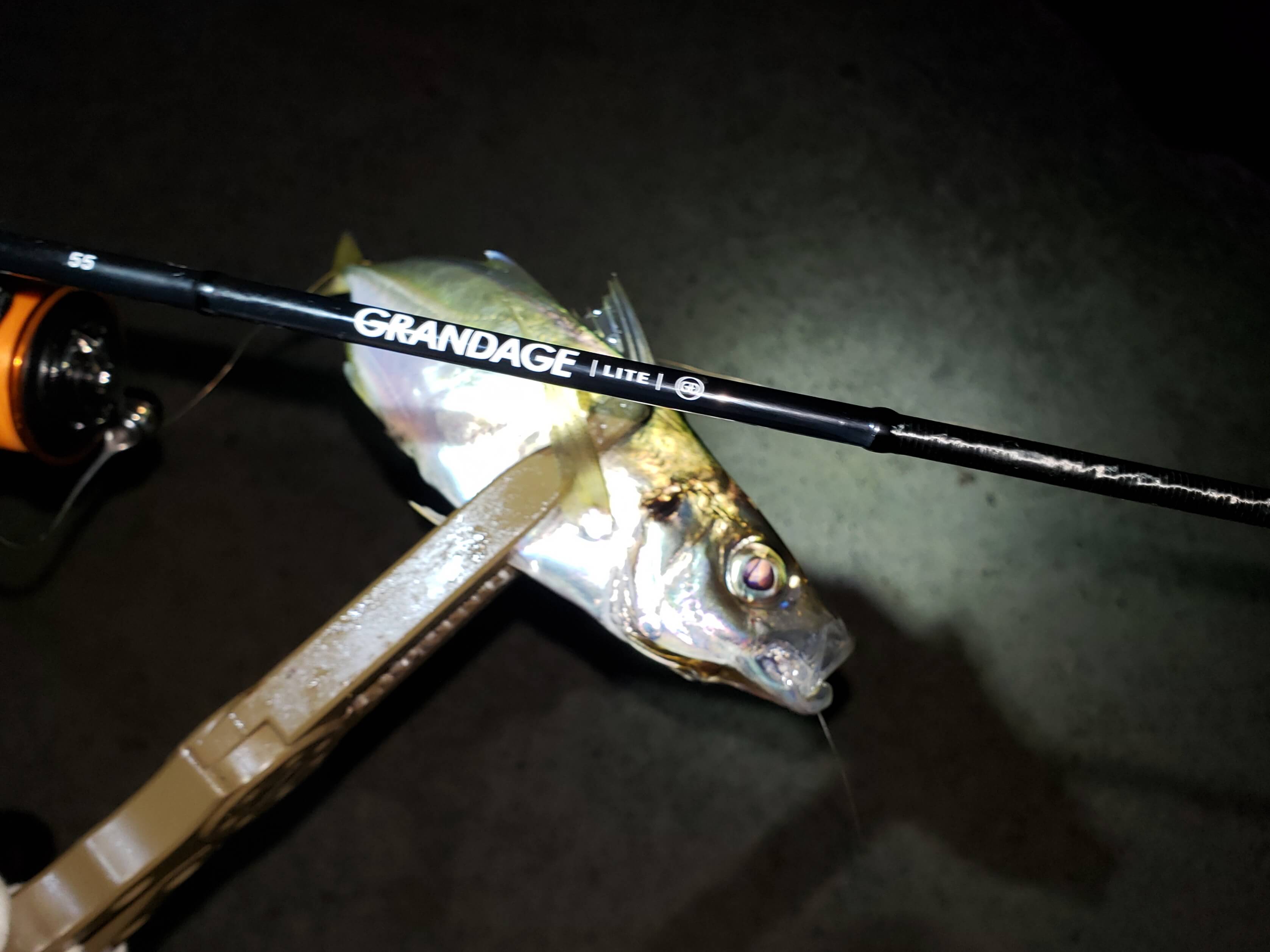 APIA Grandage Lite 55