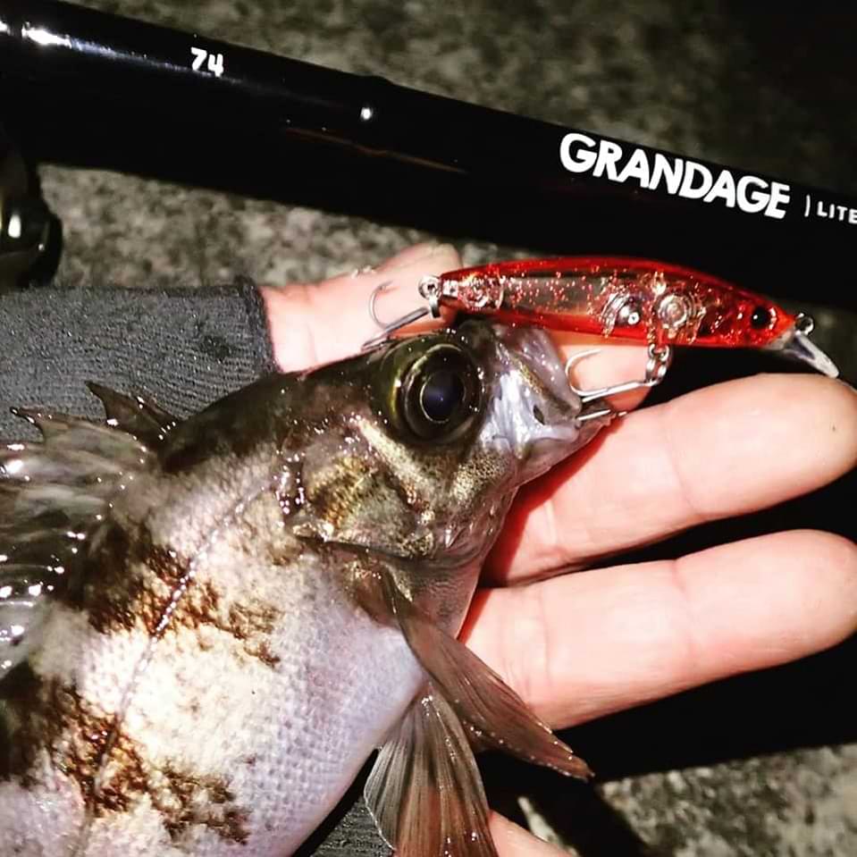 APIA Grandage Lite 74