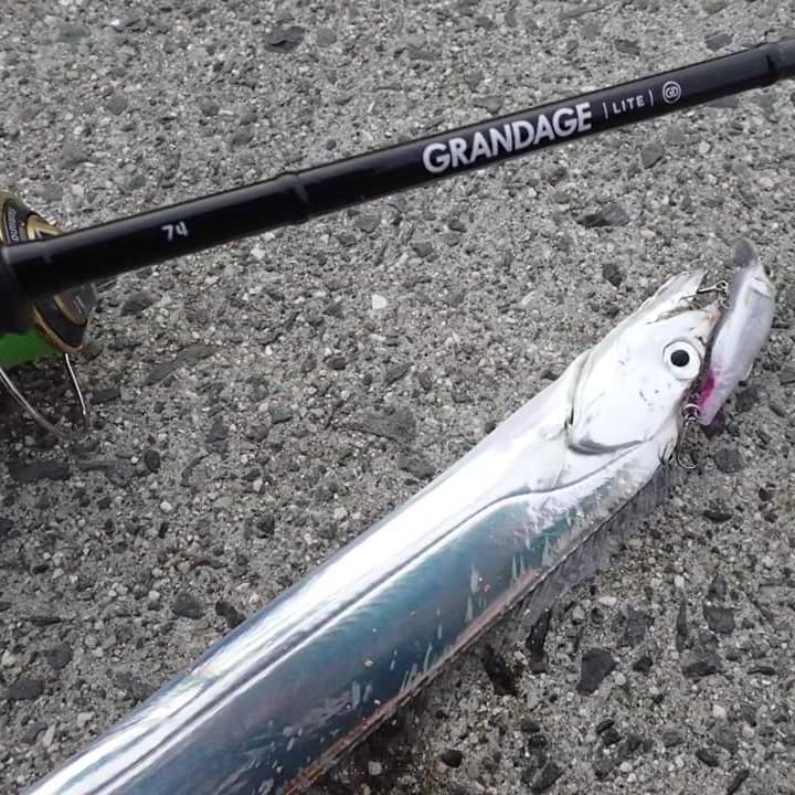 APIA Grandage Lite 74