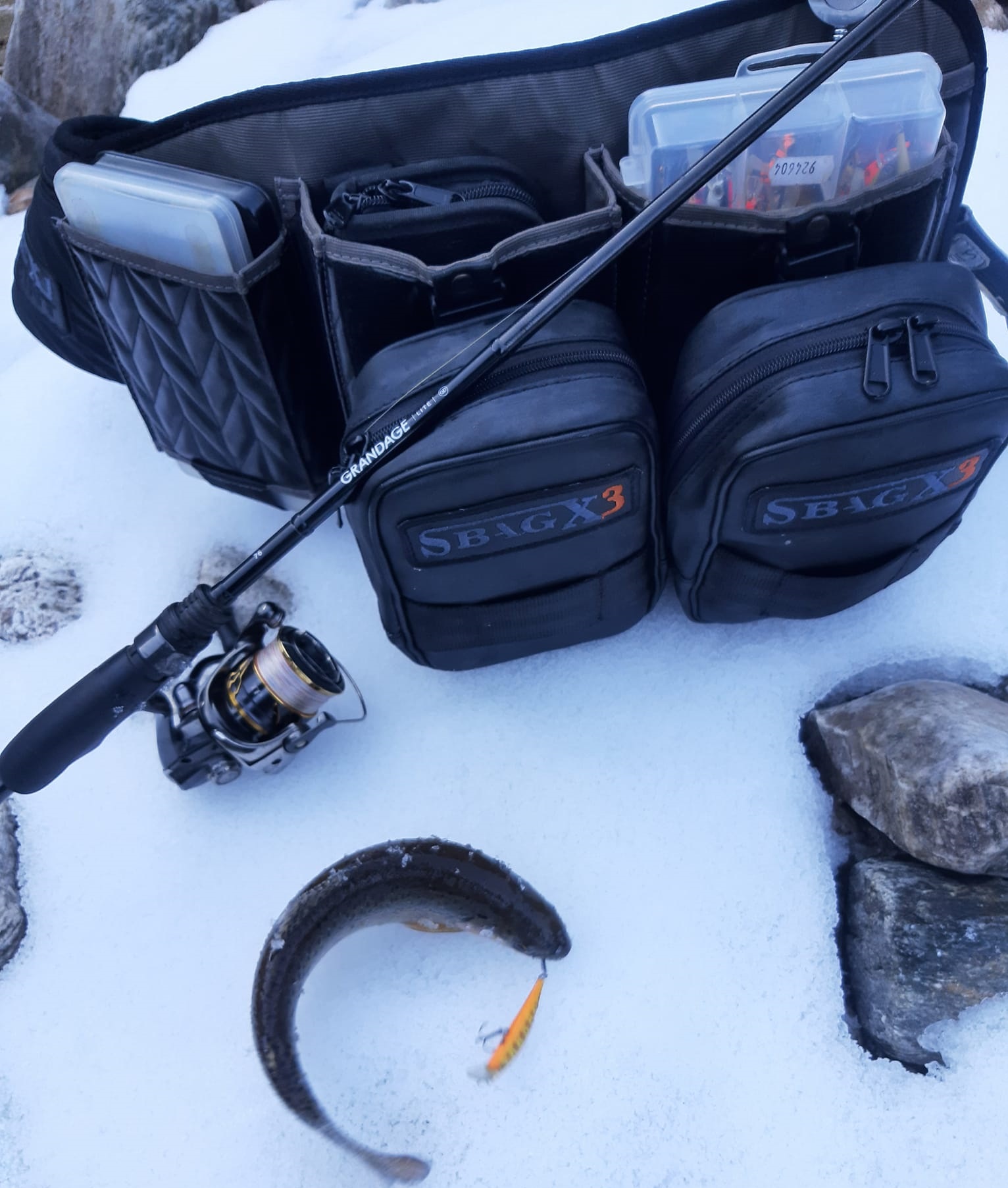 APIA Grandage Lite 76