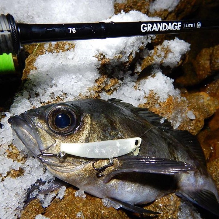 APIA Grandage Lite 76