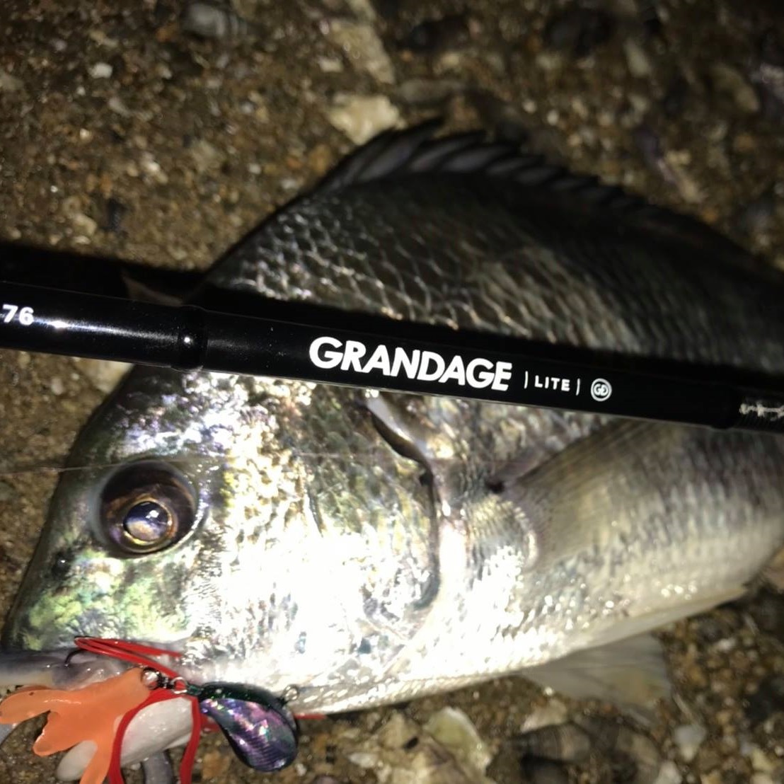 APIA Grandage Lite 76