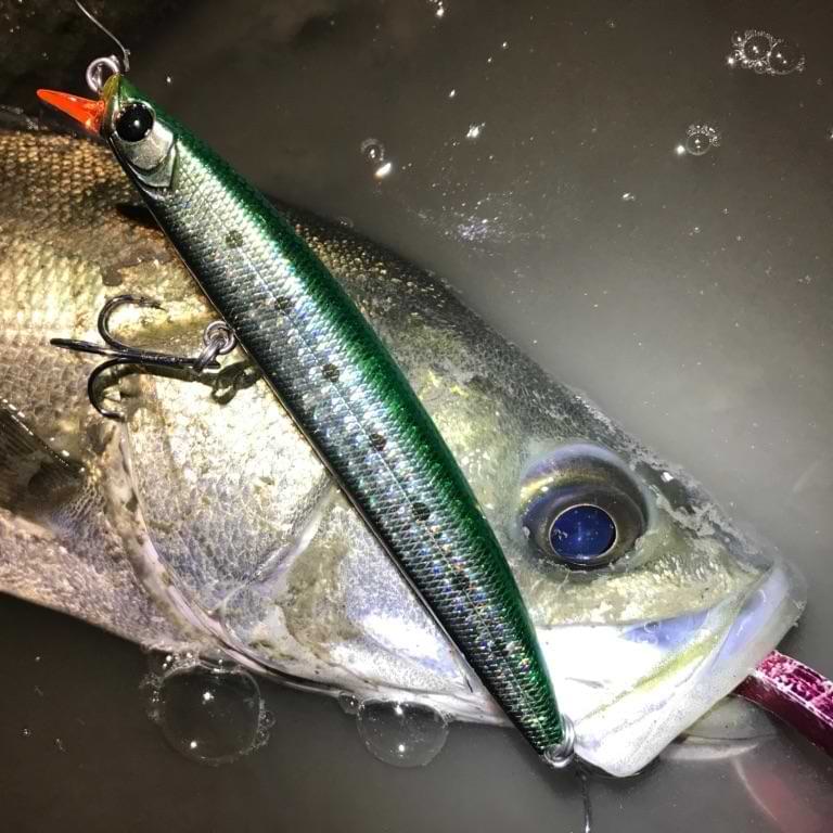 APIA Dover 120F Riva 19g