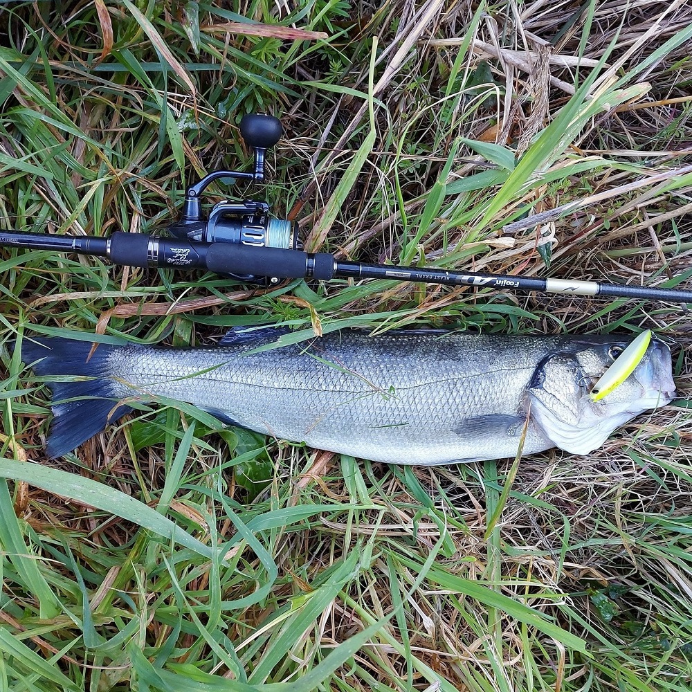 APIA Dover 120F Riva 19g