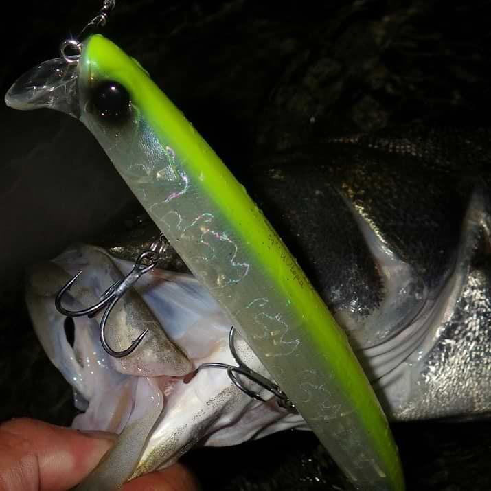 APIA Lammtarra Giant 177 43g