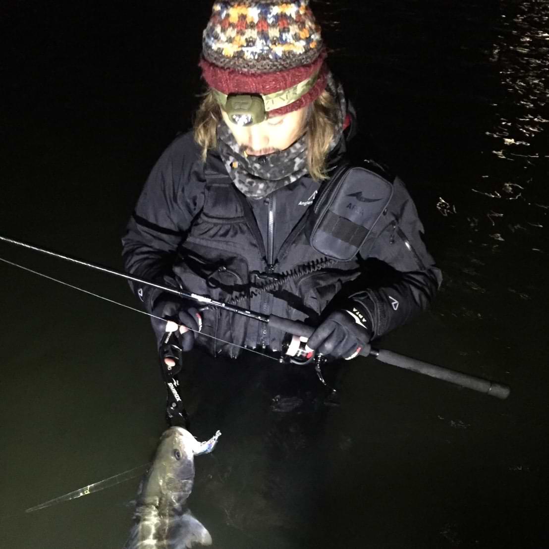 APIA Grandage STD 83L