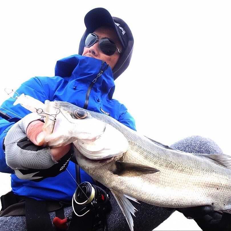 APIA Grandage STD 83L