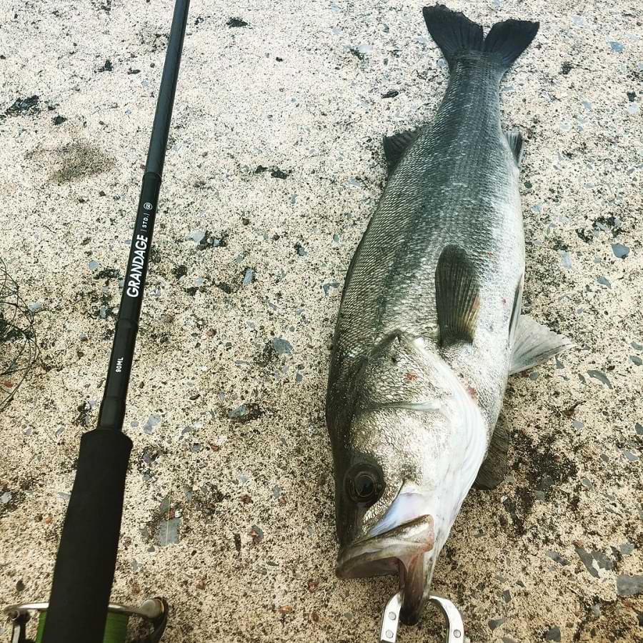 APIA Grandage STD 90ML