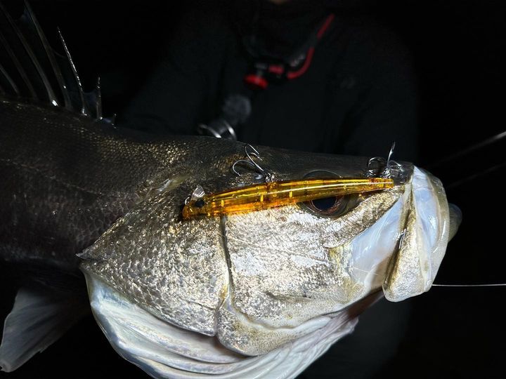 APIA Hydroupper Slim 100S 10g