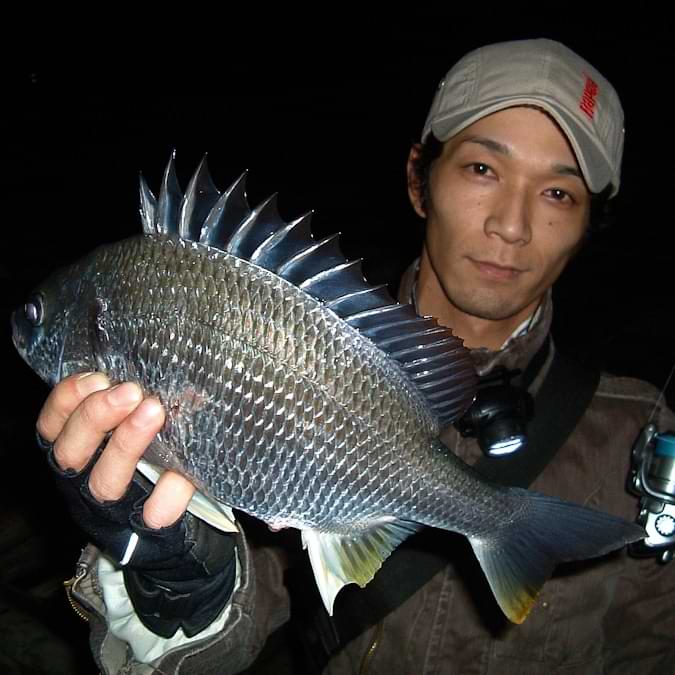 APIA Chinupara Dodge 7g