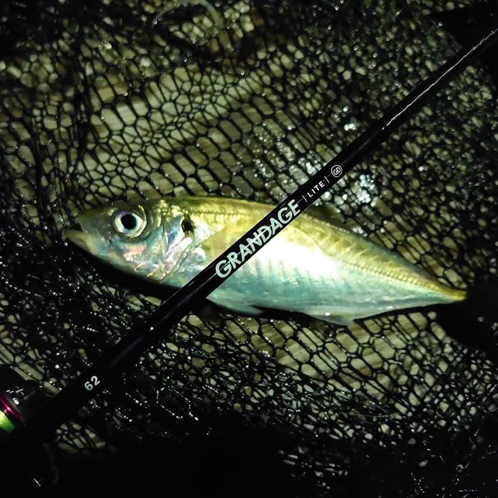 APIA Grandage Lite 62