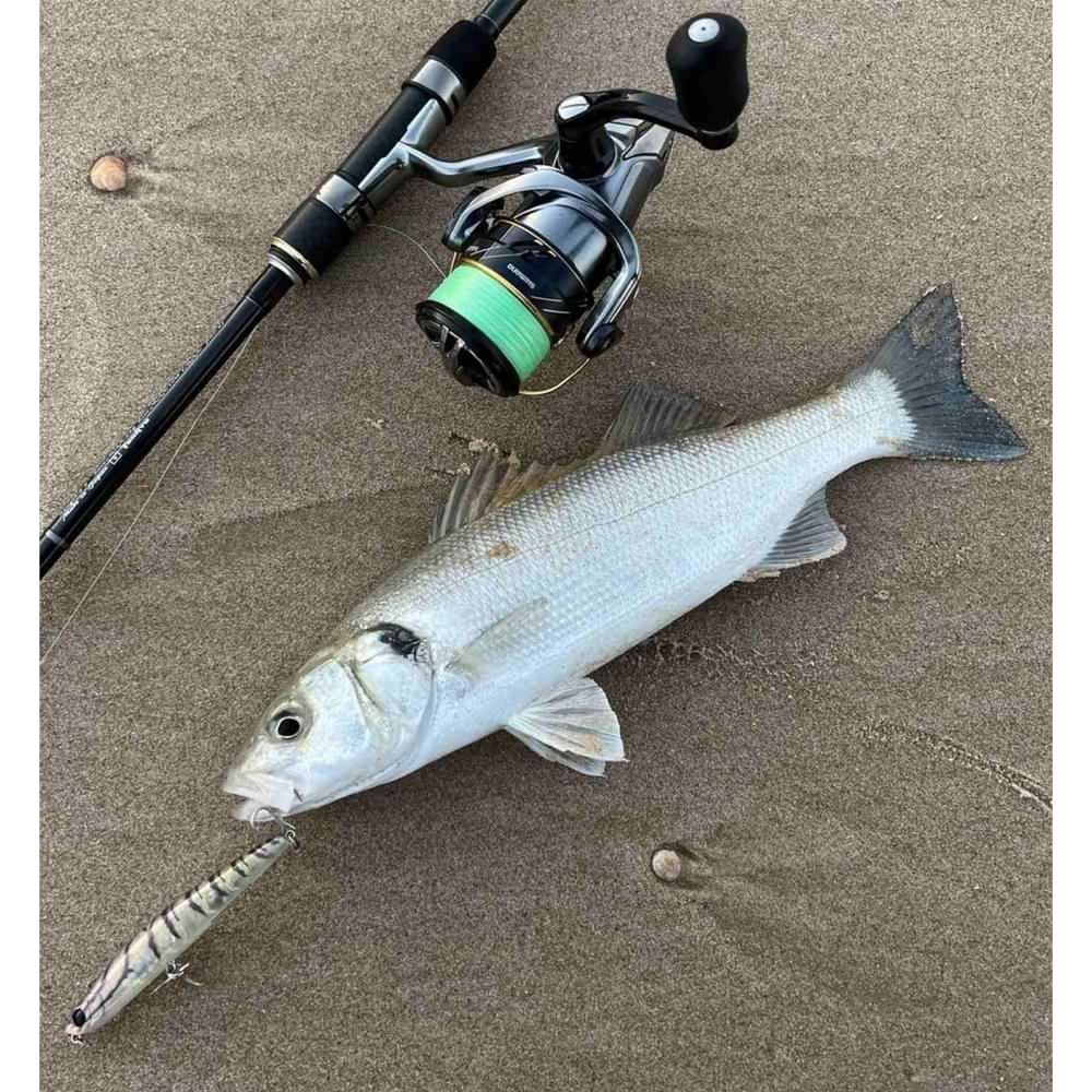 BASSDAY Sugapen 95F 9.5cm 8.5g Floating