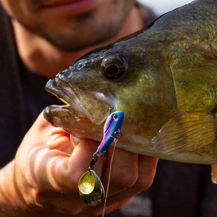 BERKLEY Pulse Spintail 14g