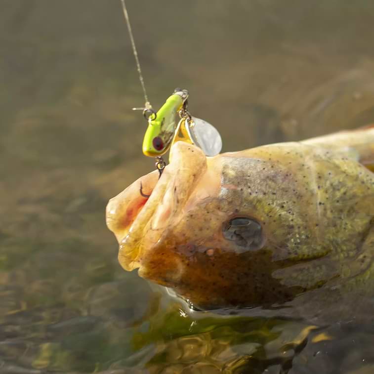 BERKLEY Pulse Spintail 14g