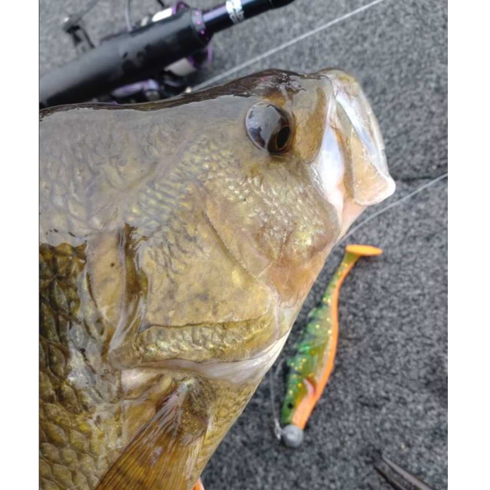 BERKLEY Pulse Realistic Perch 11cm