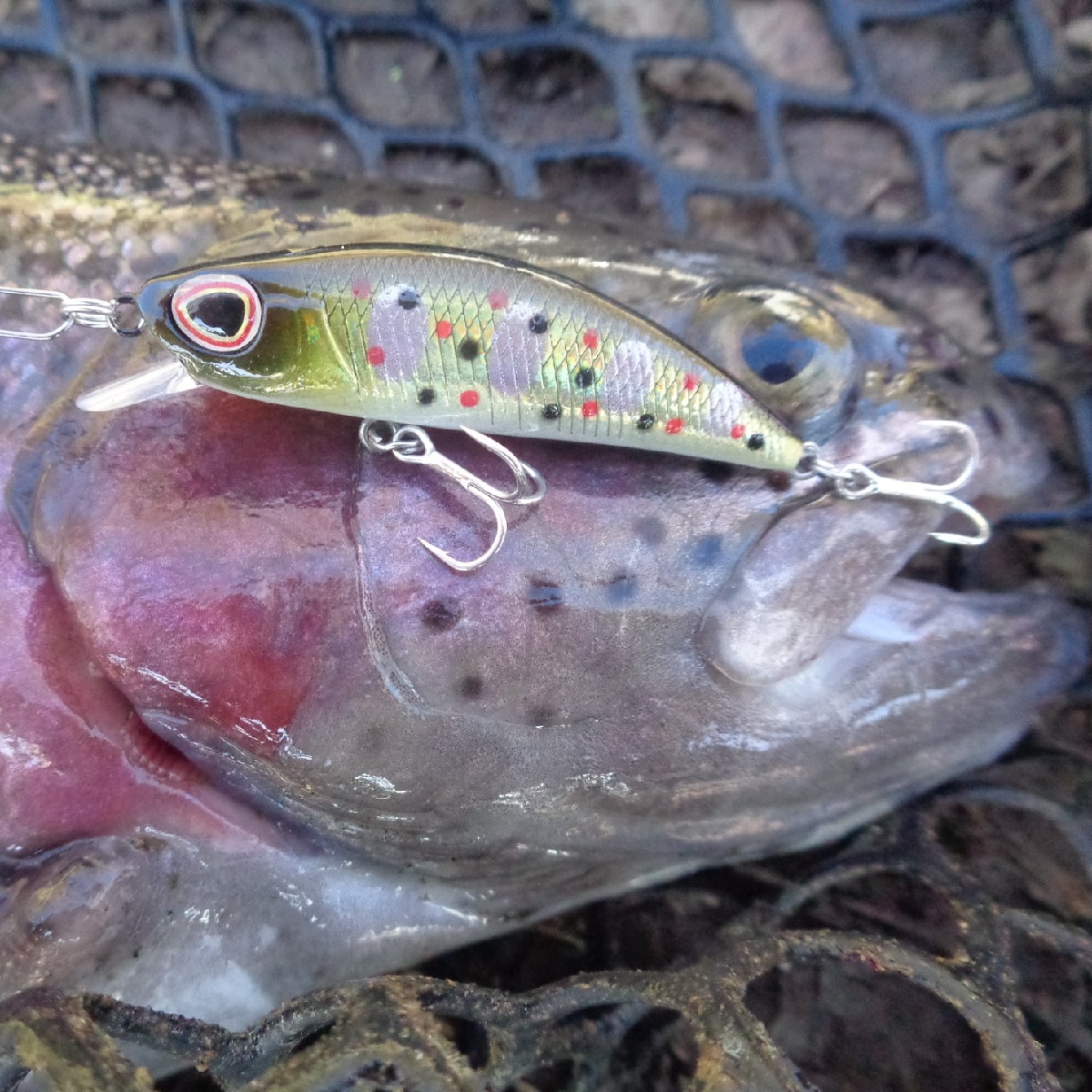 BERKLEY DEX Bullet Jerk 5cm 3.7g