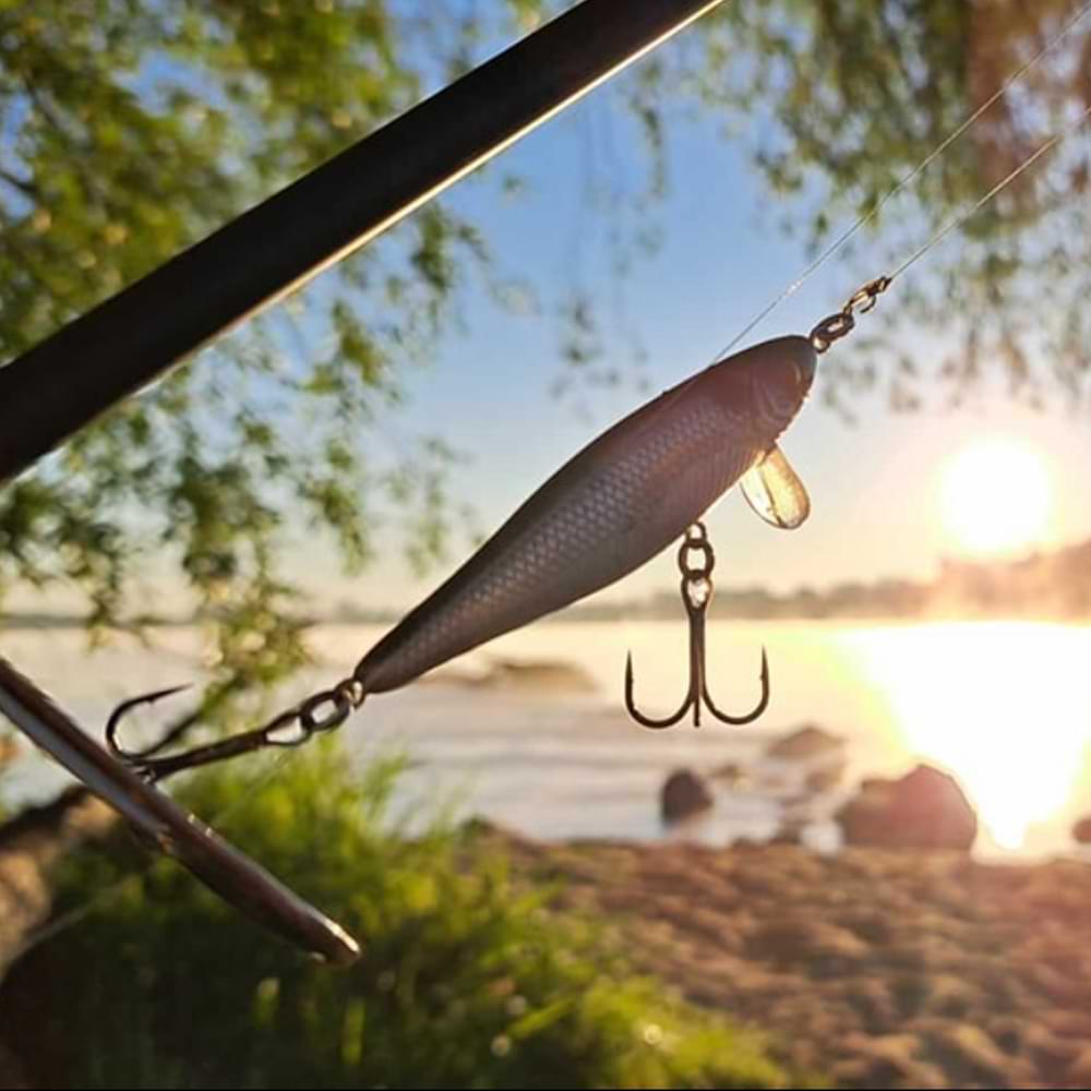 BERKLEY Pulse Racer 70mm 10g Sinking