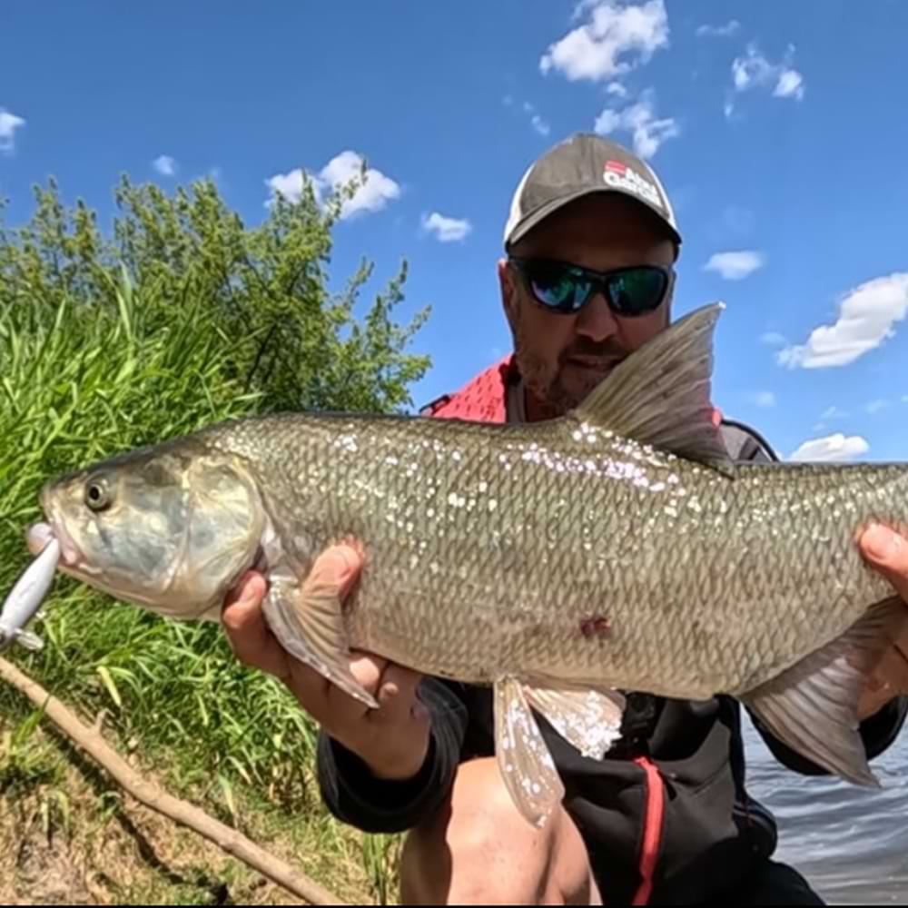 BERKLEY Pulse Racer 70mm 10g Sinking