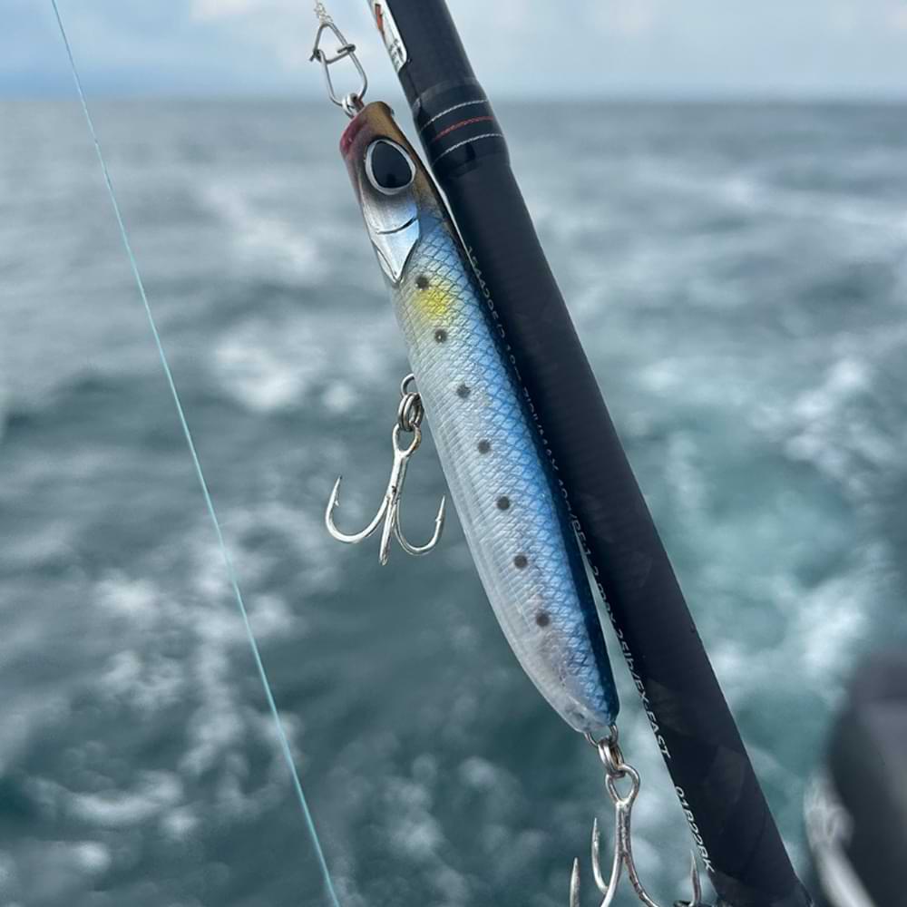 BERKLEY DEX Strider 90mm 9g Floating