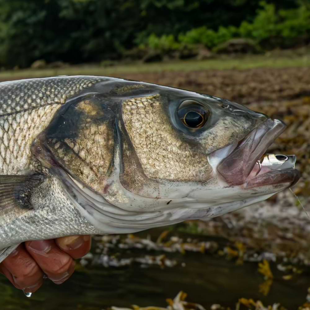 BERKLEY DEX Strider 120mm 20g Floating